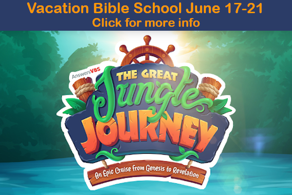 click for more info about VBS